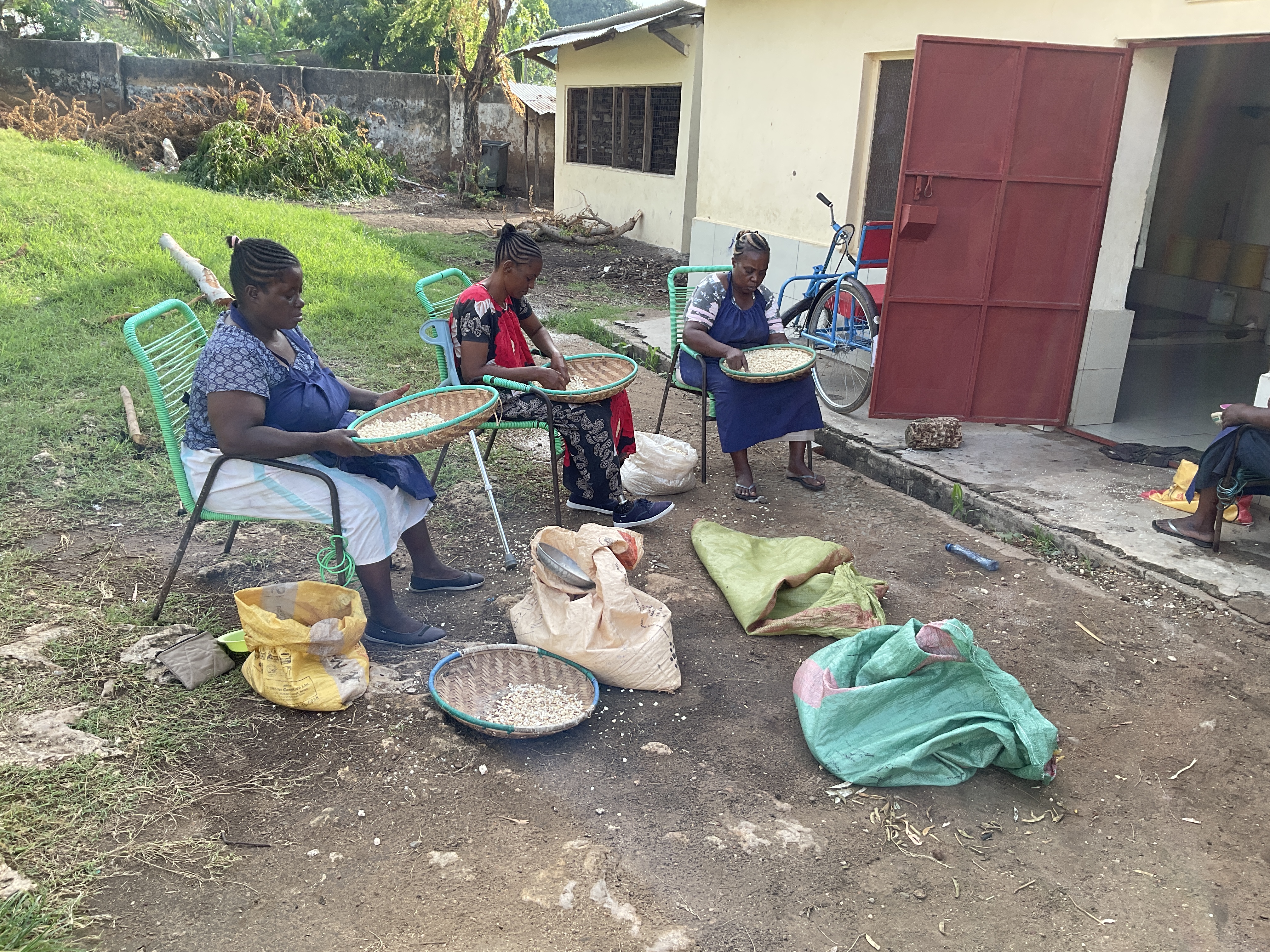 Project impact photo